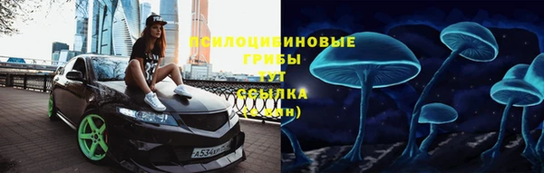 крисы Горнозаводск