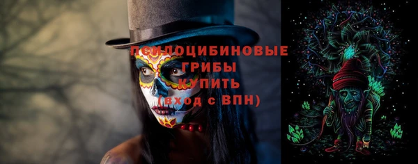 крисы Горнозаводск