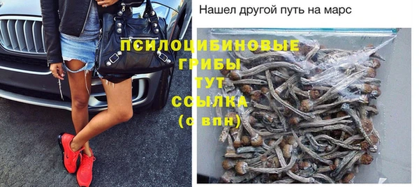 2c-b Горняк