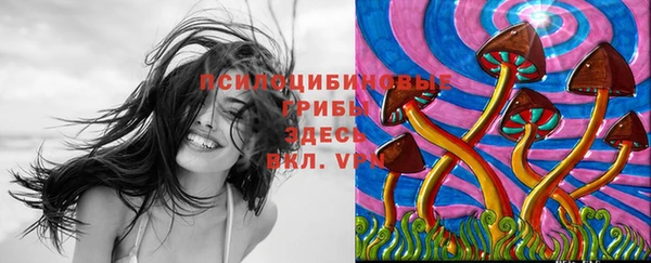 крисы Горнозаводск