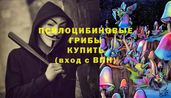 2c-b Горняк