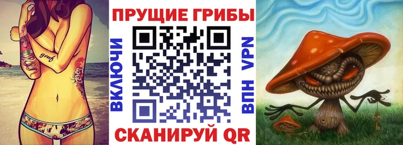 Галлюциногенные грибы Magic Shrooms  что такое   Грайворон 