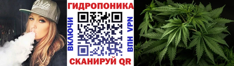 Канабис White Widow omg зеркало Грайворон